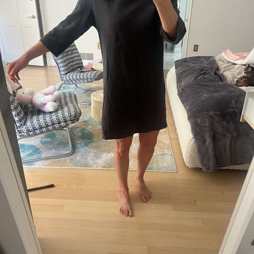 Zara gray Long Sleeve sweatshirt Dress